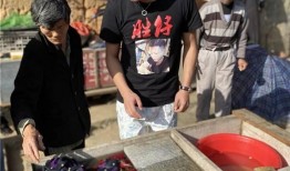 胜仔主播最新爆料,揭秘娱乐圈最新动态！