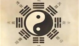 古代名人八卦爆料视频,八卦爆料视频背后的历史真相